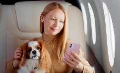 psd travel