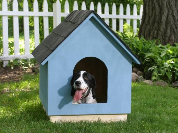 A-frame dog house1