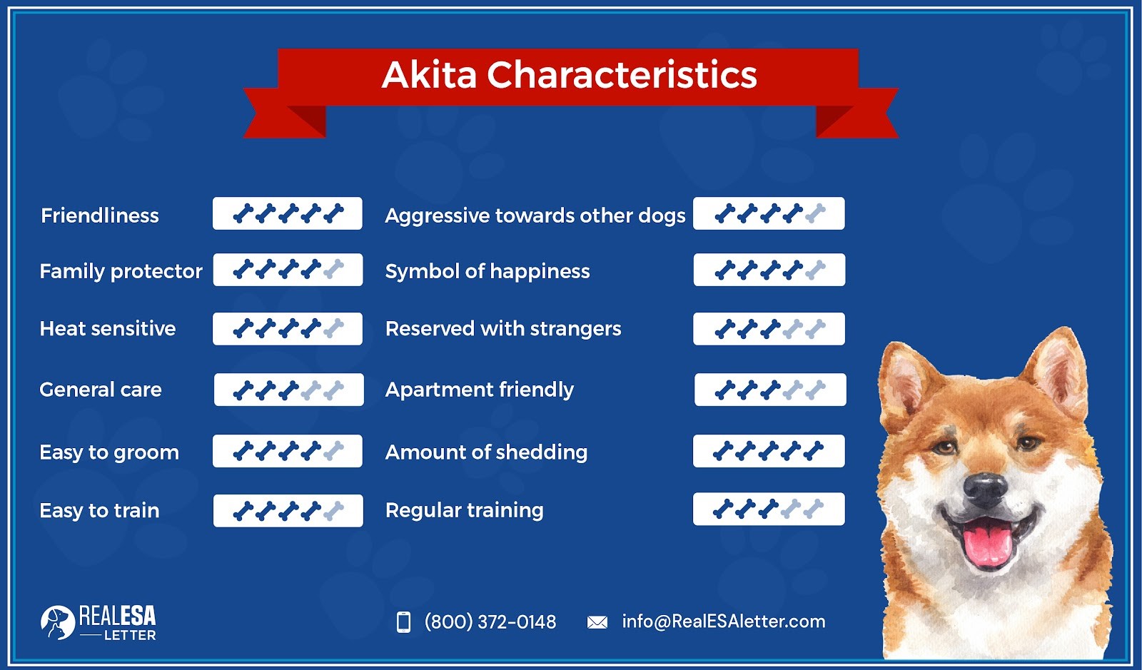 Akita characteristics
