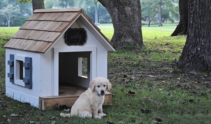 DIY wooden dog house