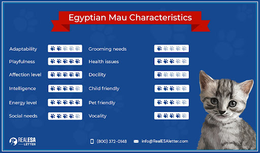 Egyptian Mau charecterstics