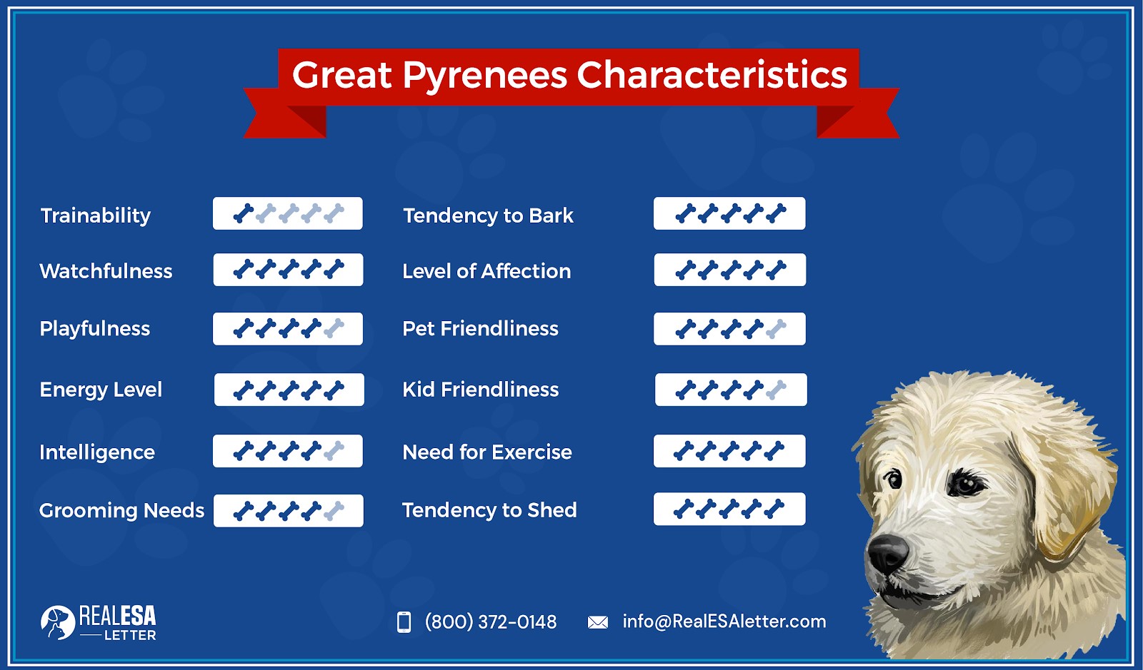 Great Pyrenees Breed Overview