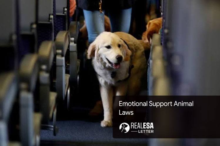 Emotional Support Animal Laws: FHA and ACAA
