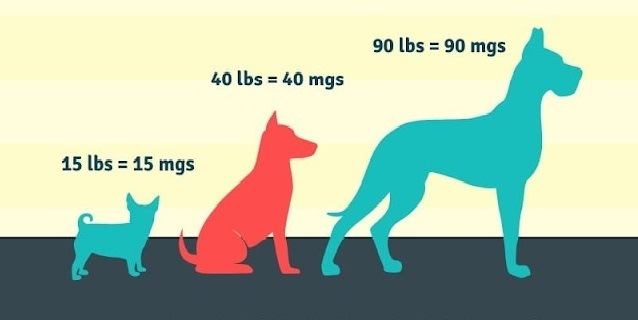 Benadryl for dogs dosage chart