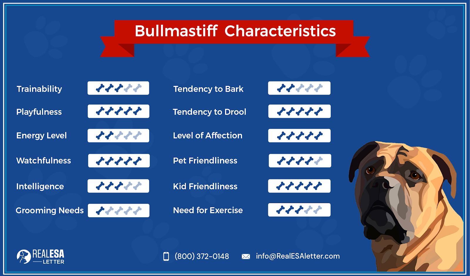 bullmastiff characteristics