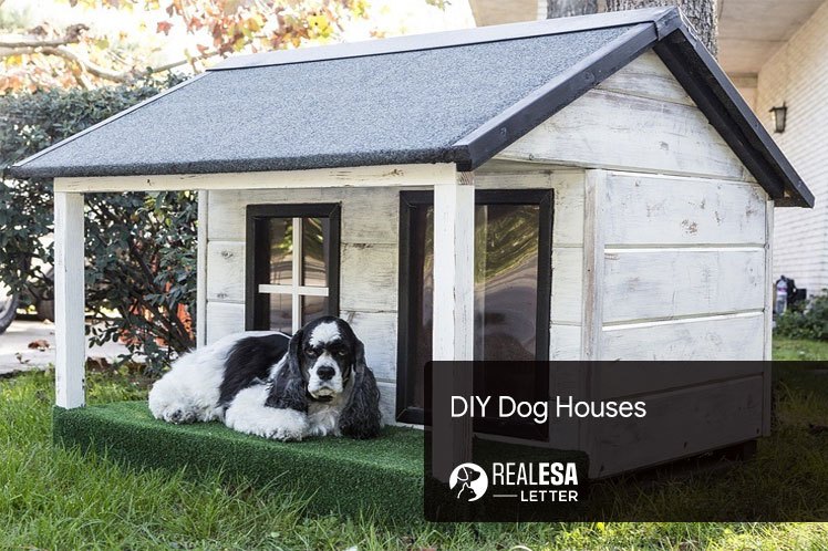 DIY dog houses