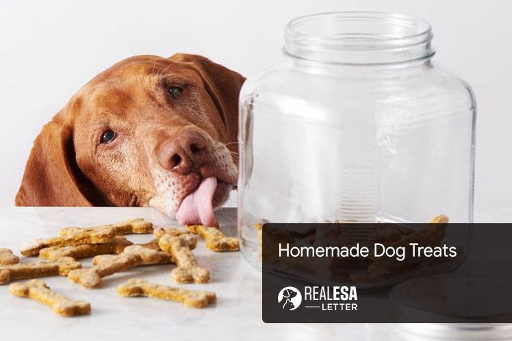 Homemade Dog Treats Recipes