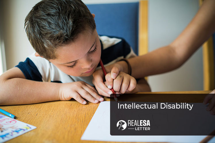 Intellectual Disability