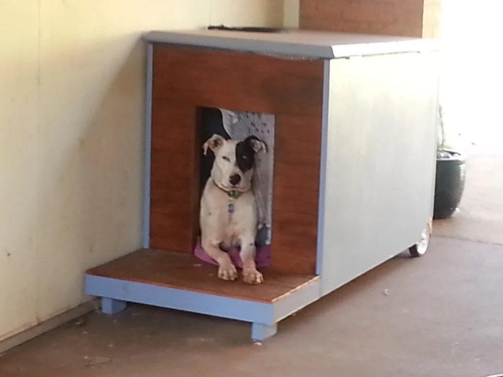 mobile dog house