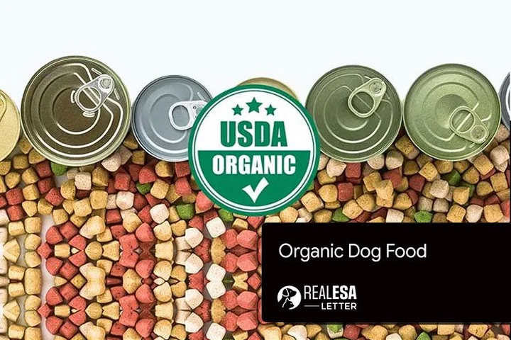 Best Organic Dog Food Brands in 2021