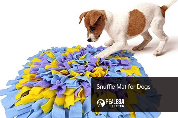 best snuffle mat for dogs