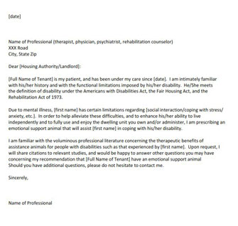 Letter Of Comfort Template from www.realesaletter.com